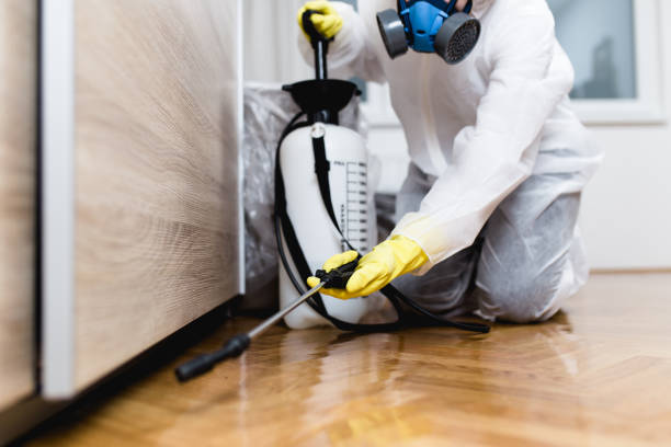 Best Wasp Removal Services  in Marlow, OK