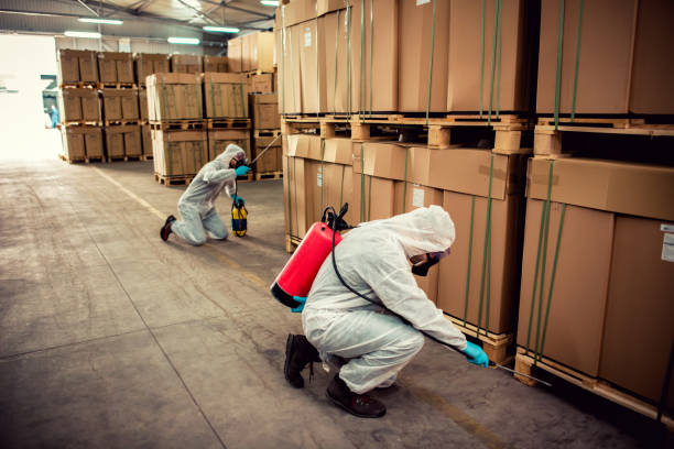Best Cockroach Control Services  in Marlow, OK