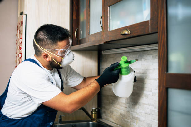 Best Pest Prevention Services  in Marlow, OK