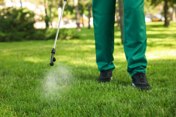 Best Termite Control Services  in Marlow, OK