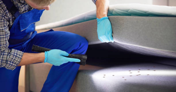 Best Affordable Pest Control Services  in Marlow, OK