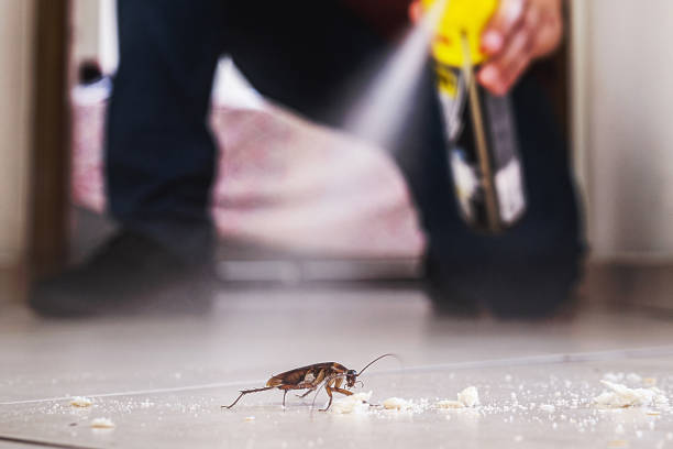 Best Pest Control Near Me in Marlow, OK