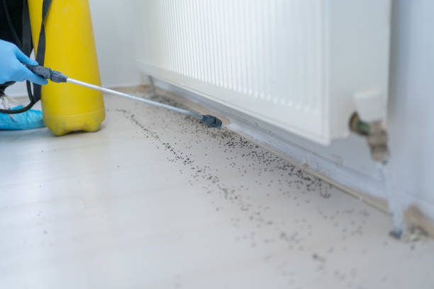 Best Pest Control Near Me  in Marlow, OK