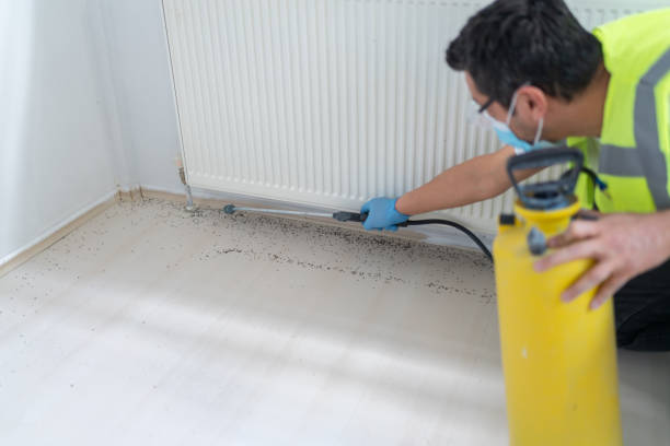 Best Pest Control Treatment  in Marlow, OK