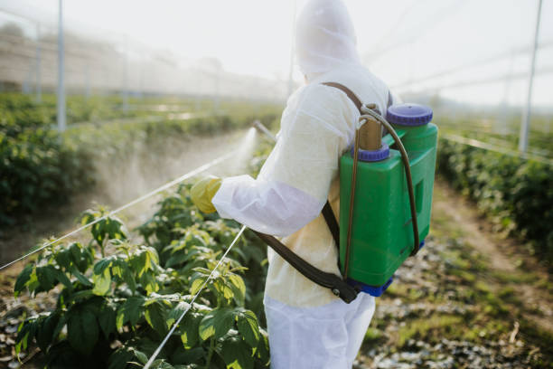 Best Commercial Pest Control Services  in Marlow, OK